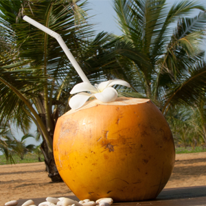 Coconut Community