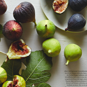 Handbook of figs